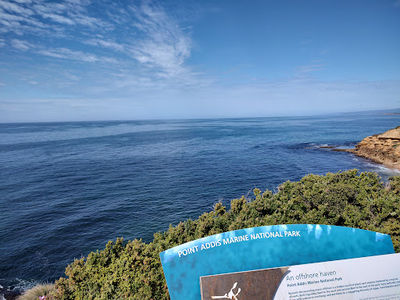 Point Addis Beach