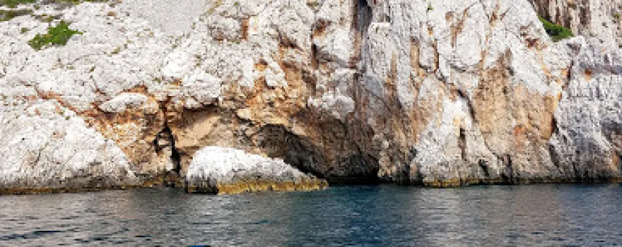 AMBER - DIVE CENTER