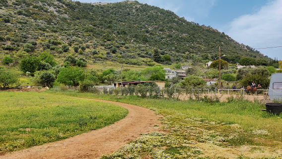 Marathon Endurance Club