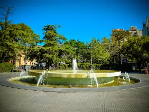 Roca square