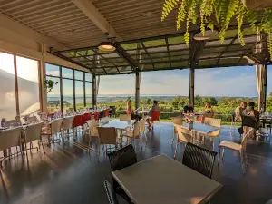 Luckett Vineyards