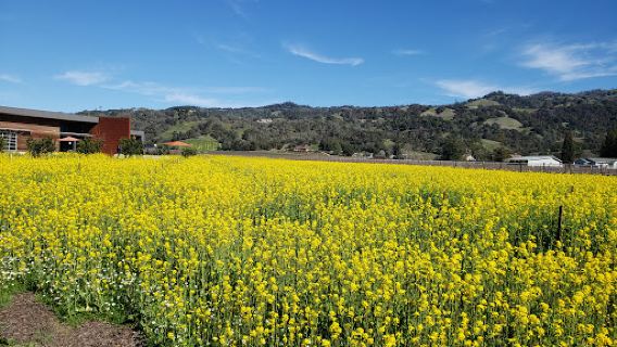 Zialena Winery