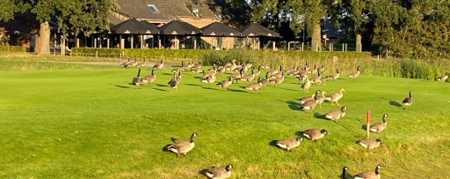 Golfpark de Turfvaert