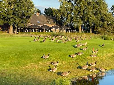 Golfpark de Turfvaert