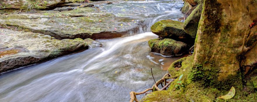 The Cascades