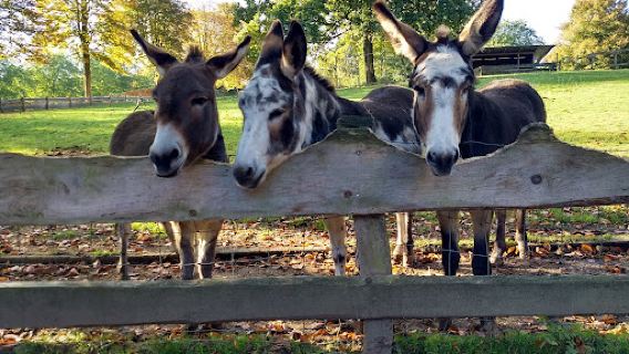 Wildpark Schwentinental
