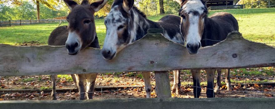 Wildpark Schwentinental