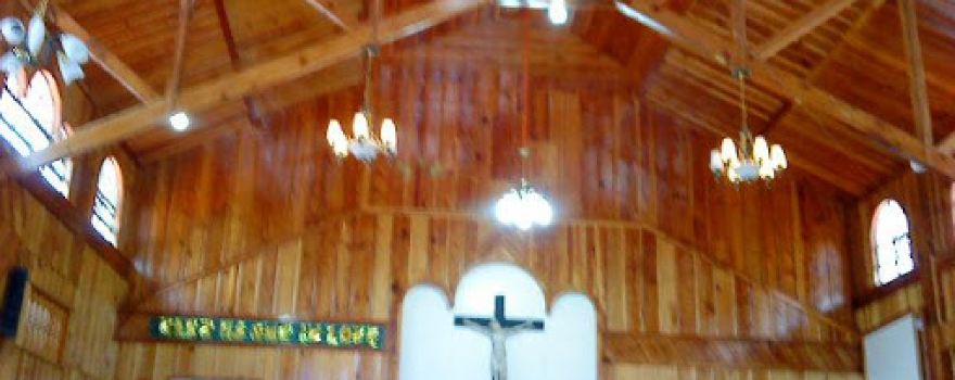roman catholic church
