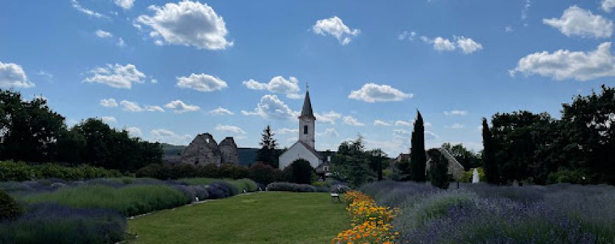 Dörgicsei Levendula Mező (nem a Levendárium hivatalos oldala)