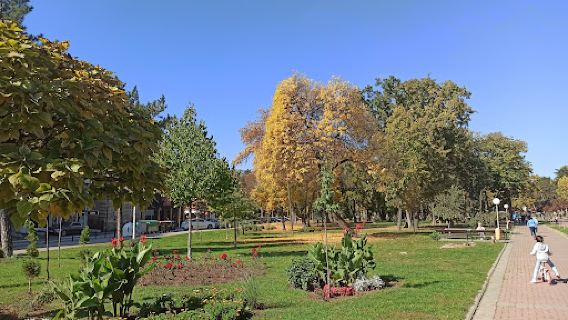 Veliki park