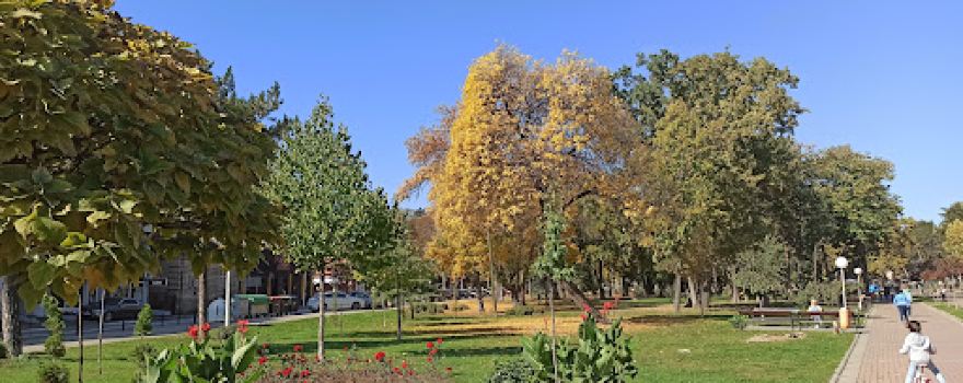 Big Park