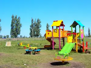 Stadion Ţiganca