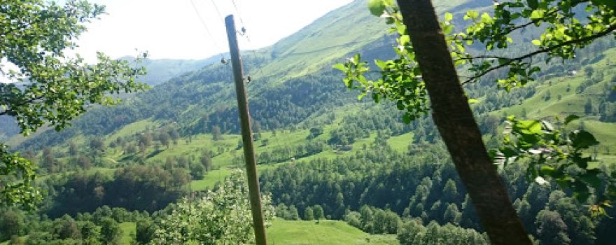 Küçükdere Stream