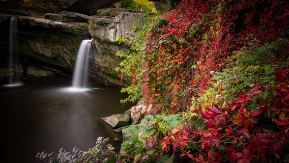 Cascade Park