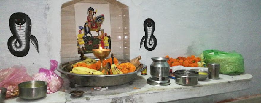 Jaharveer Goga ji Medi