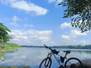 Wisata Mahoni Dempok