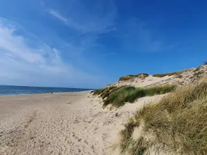 Græm strand