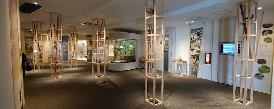 Miyagi Prefecture Izunuma-Uchinuma Sanctuary Center