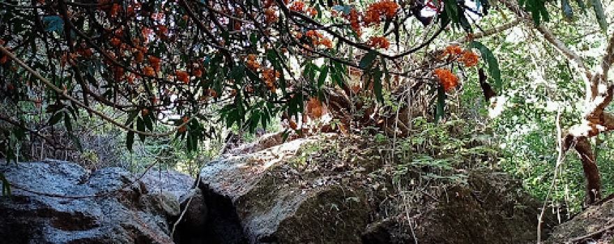 Ancient Dhyan Mandir