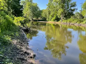 Shanklin Park