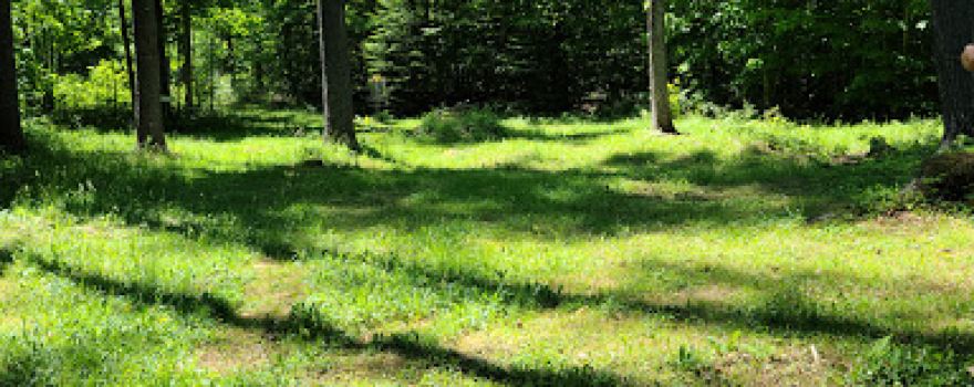 Sunshine Park Disc Golf Course
