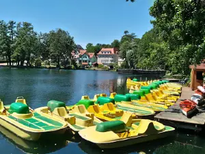 Brama Polska