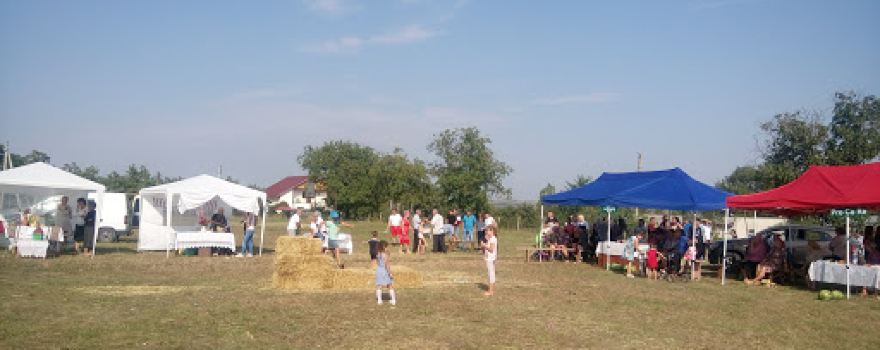 Parcul Școlii