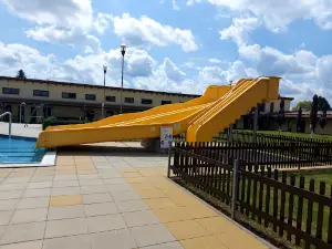Plavečák Blatná