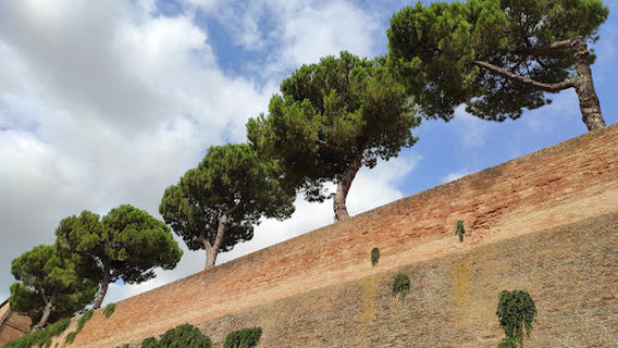 Sferisterio (Campo Da Gioco Del Tamburello)