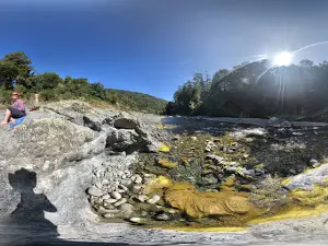 Pelorus Bridge Food Truck & Campground