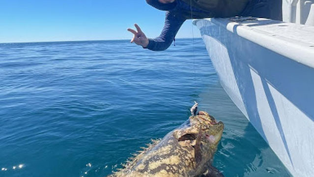 O Sea D Fishing Charters