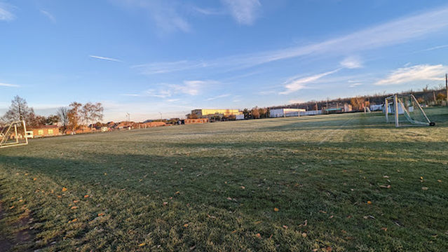 SV Grün-Weiß Ammendorf 1948 e.V.