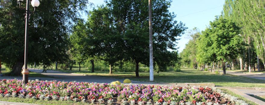Dendropark