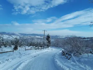 Parc Schiulesti