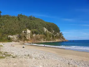 Camping San Pedro de la Ribera