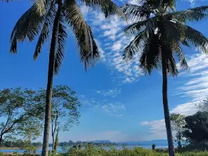 Coconut Island