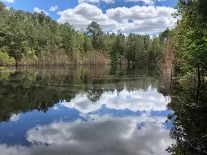 Anderson Creek County Park