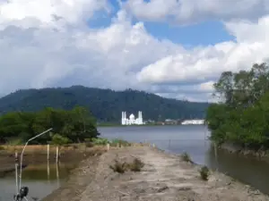 Wisata Bakau Sukadana