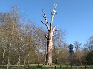 Parcours de Santé