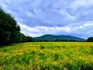Buckaloons Recreation Area