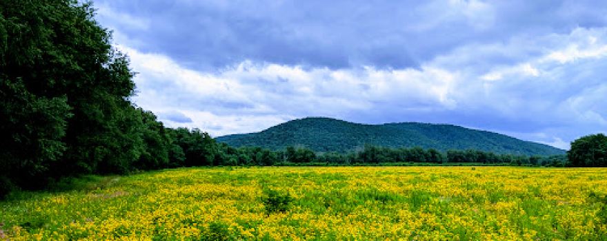 Buckaloons Recreation Area