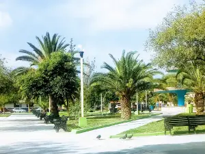 Plaza Principal Hidalgo, N.L.
