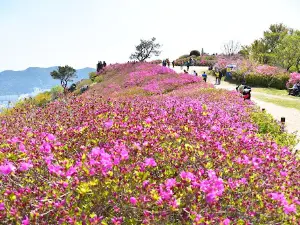 Yeonhwaji