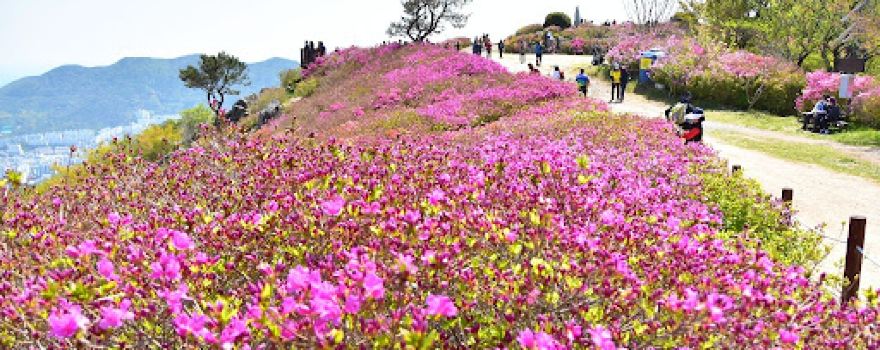 Yeonhwaji