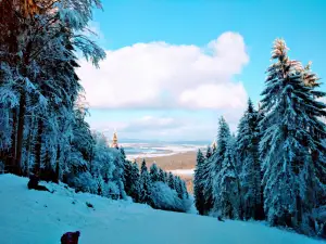Přimda vyhlídka