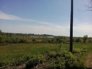 Stadion