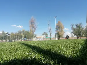 Unidad Deportiva Purisima del Rincon