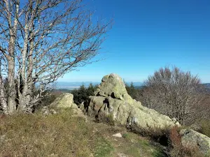 Tourbière de Saint Nicolas des Biefs