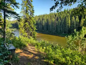 Willmore Park-Edson