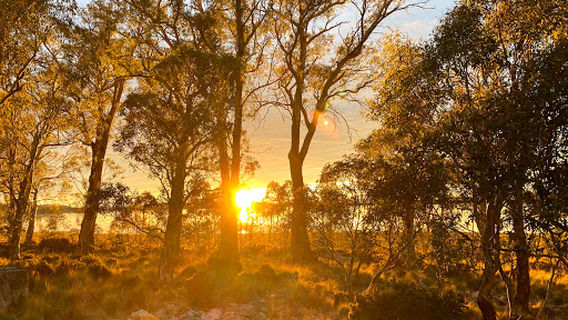 Pump House Bay Campsite